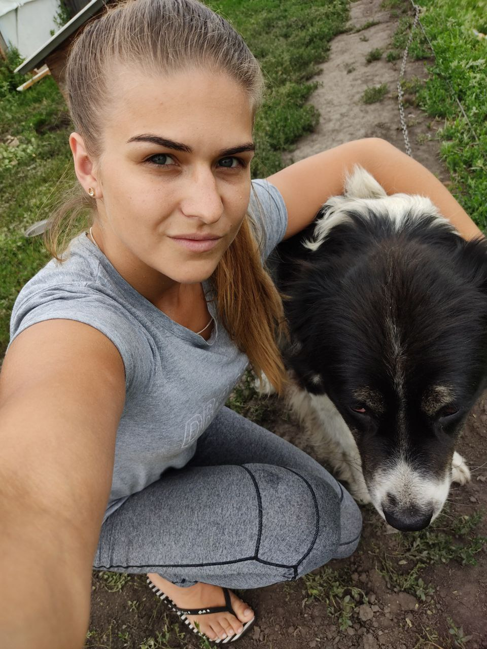 Школа дрессировки собак Akita Dog School - Дрессировка собак в Казани