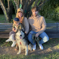 Отзыв о Школа дрессировки собак Akita Dog School: Привет от Семьи Громовых, наш ответ!
