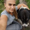 Дрессировка собак в Казани
