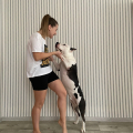 Отзыв о Школа дрессировки собак Akita Dog School: Обучение Буча, 99 из 100 баллов