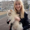 Профессиональная школа дрессировки собак Akita Dog School