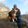 Школа дрессировки собак Akita Dog School-Реально работающая школа для собак