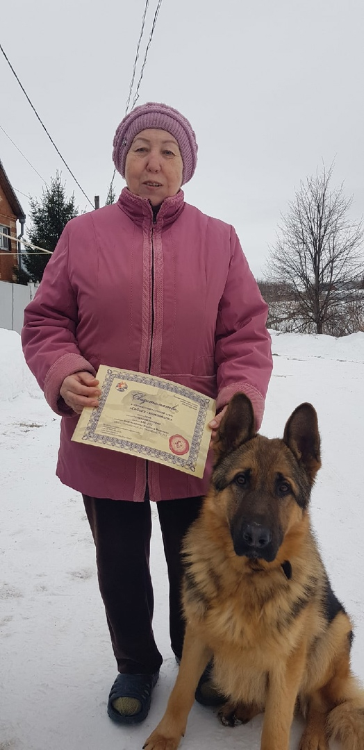Школа дрессировки собак Akita Dog School - Akita Dog School официальное сообщение