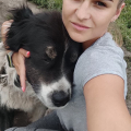 Дрессировка собак в Казани