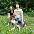 Отзыв о Школа дрессировки собак Akita Dog School: Akita Dog School официальное сообщение