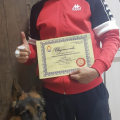 Akita Dog School официальное сообщение