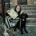 Akita Dog School официальное сообщение