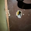 НИКОГДА НЕ ОБРАЩАЙТЕСЬ В ДАННУЮ КОМПАНИЮ! Это хуже, чем просто отврати