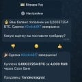 Отзыв о bitpapa: Самая удобная