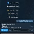 Отзыв о bitpapa: на данный момент лучая площадка
