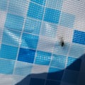 Отзыв о Elecity.ru интернет-магазин: Привезли дырявый бассейн