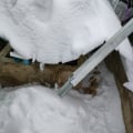 Не выдержала снега