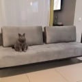 Стильный дизайн, хорошая ткань
