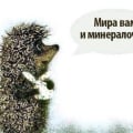 Бывает разное) это жизнь