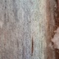 компания не выполняет свои обязательства